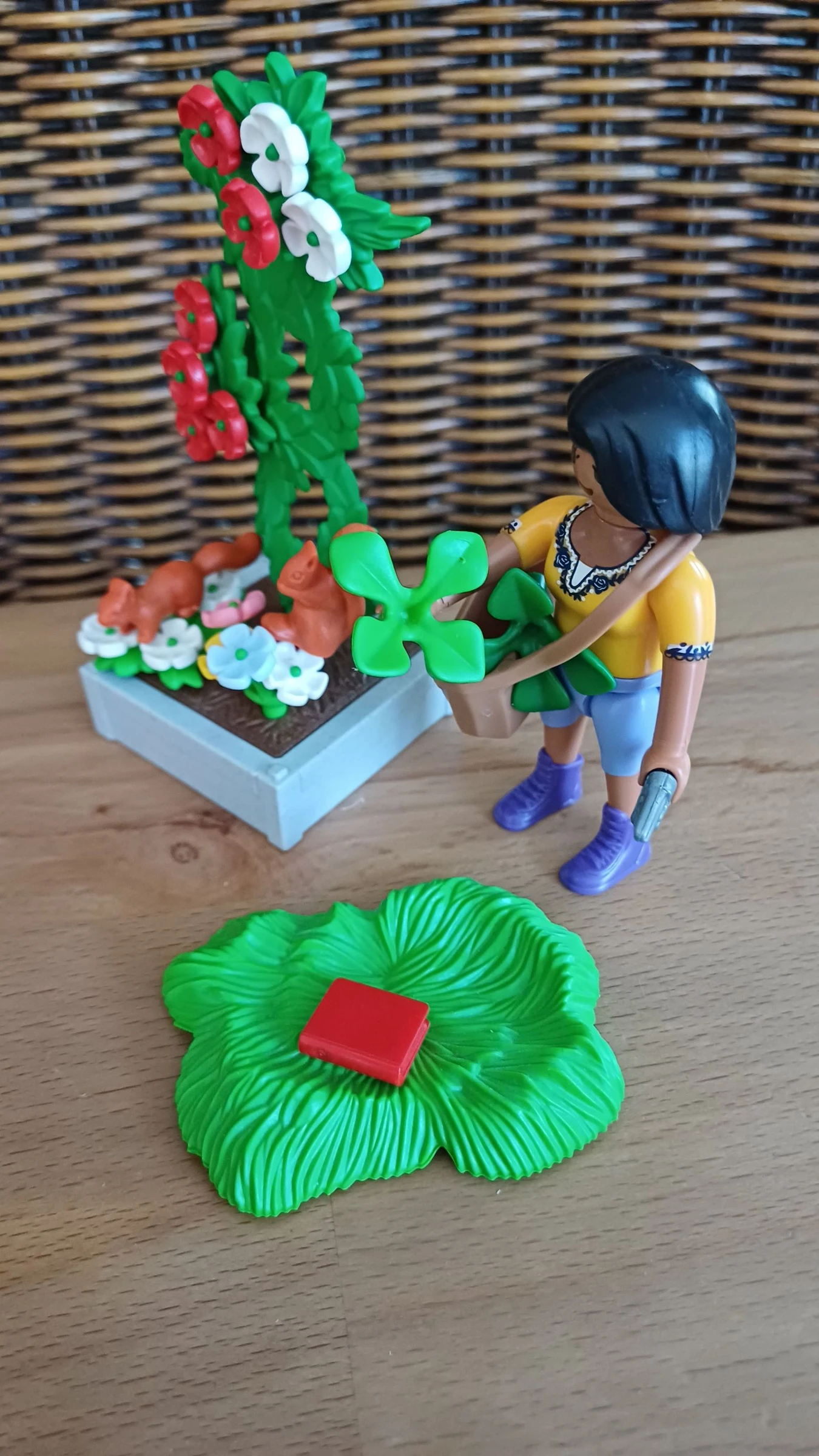 Herboriste playmobil – photo 4